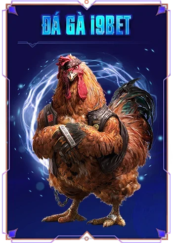 Đá gà i9bet